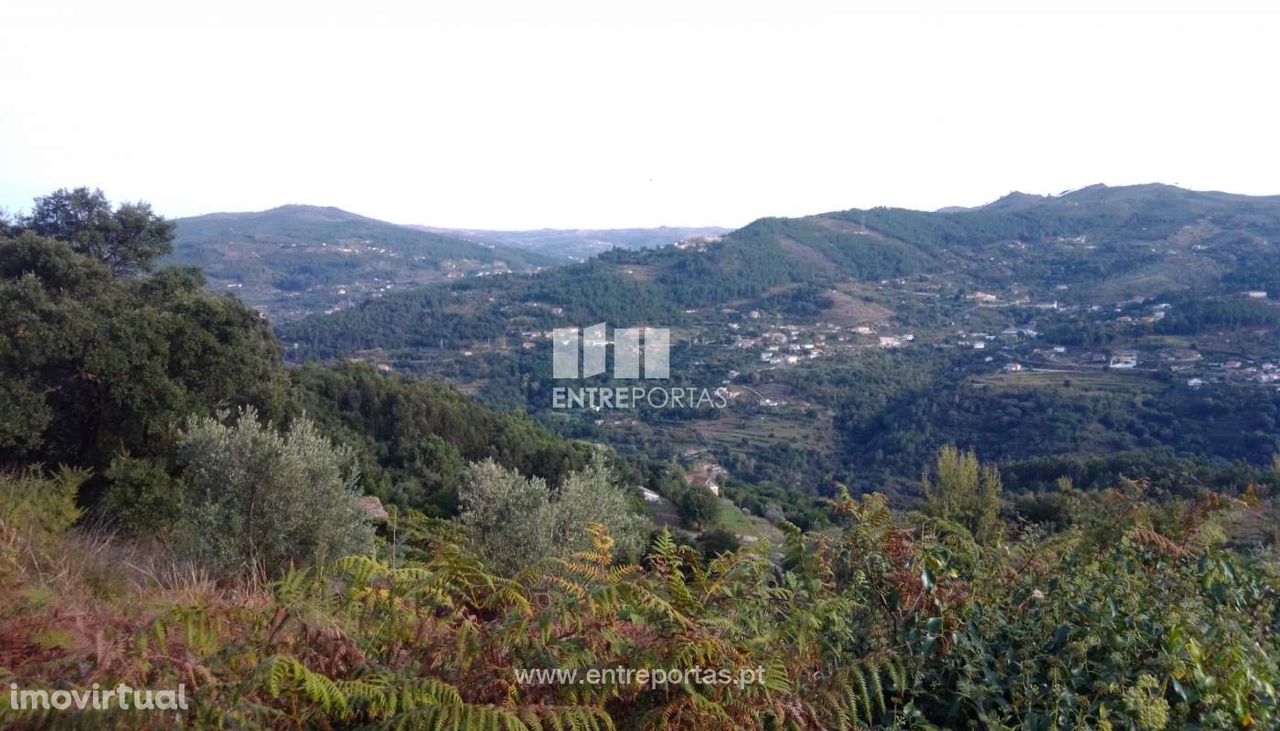 Venda Terreno com viabilidade de construção, Ancede, Baião