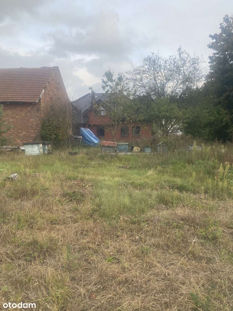 Działka budowlana Niwy - Pełny obrazek: 4/5