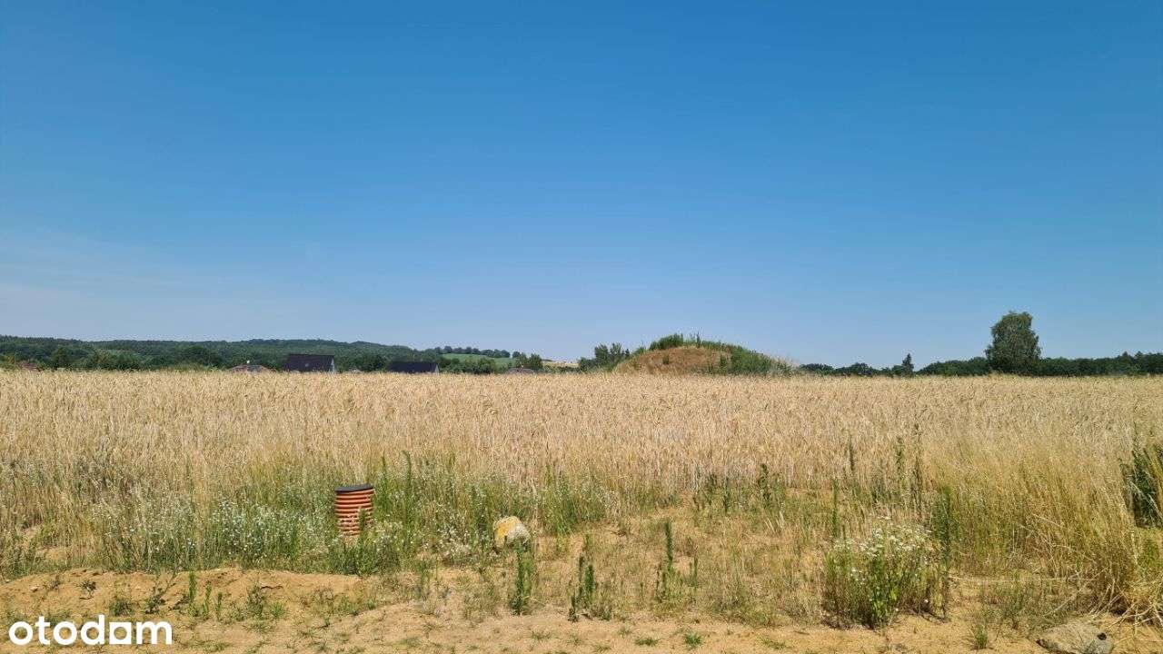 Uzbrojona działka pod lasem blisko Wrocławia - Pełny obrazek: 4/12