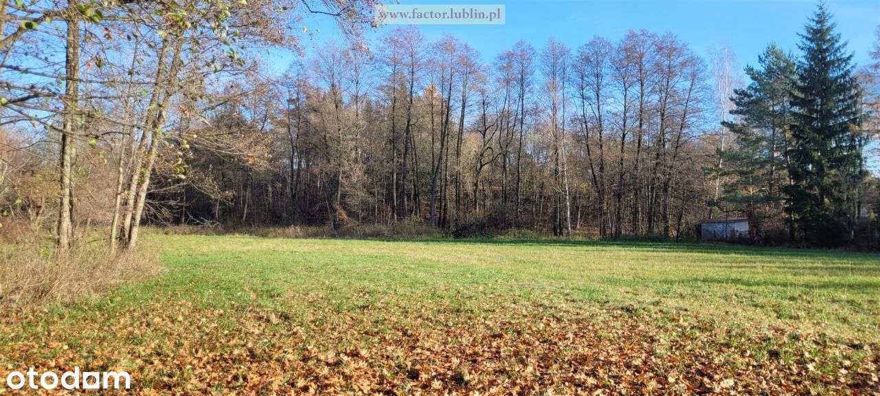 Działka, 1 290 m², Nowy Gaj-3