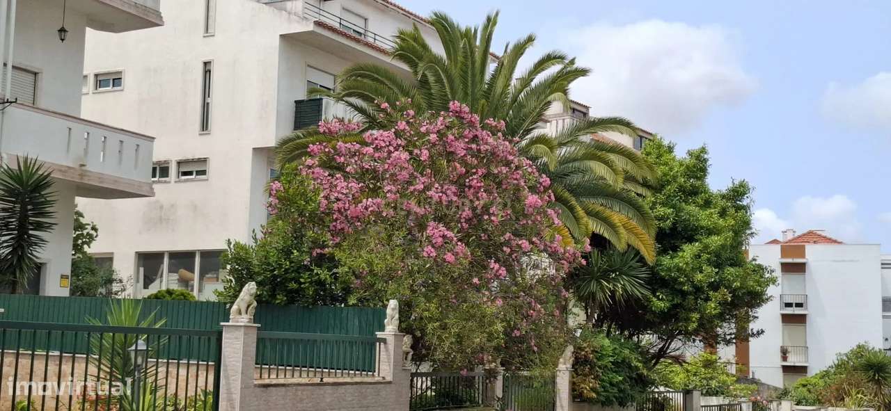 Apartamento T2 - Agualva - Grande imagem: 5/12