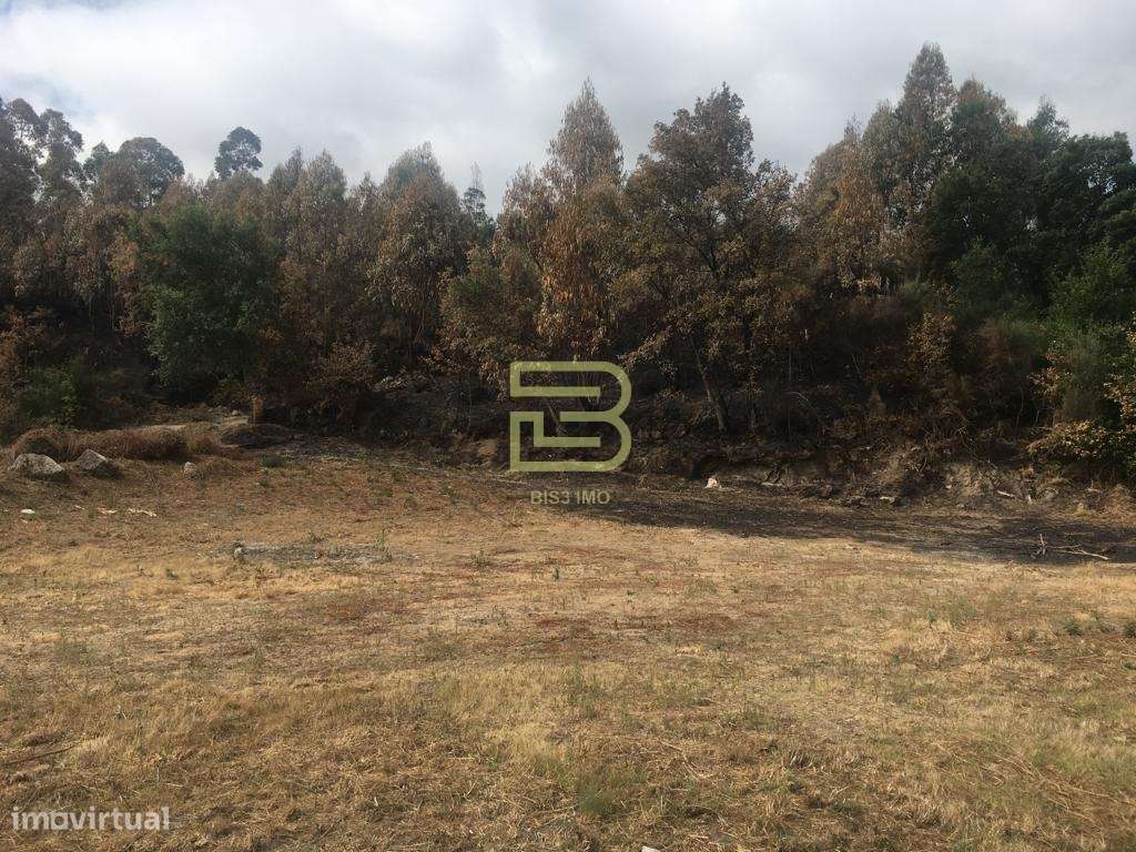 DOIS TERRENOS urbanos contíguos, em Cete , Paredes-5