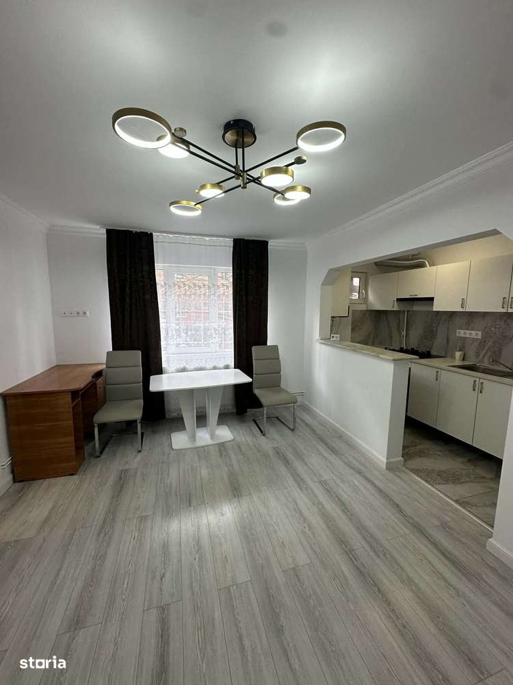Apartament cu 2 Camere Renovat Complet-5