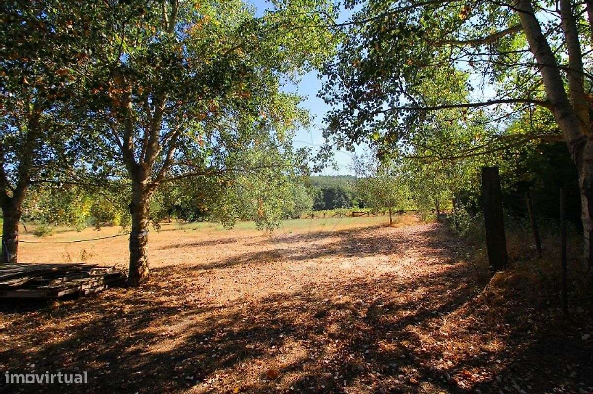 Palacete T10 para venda-6