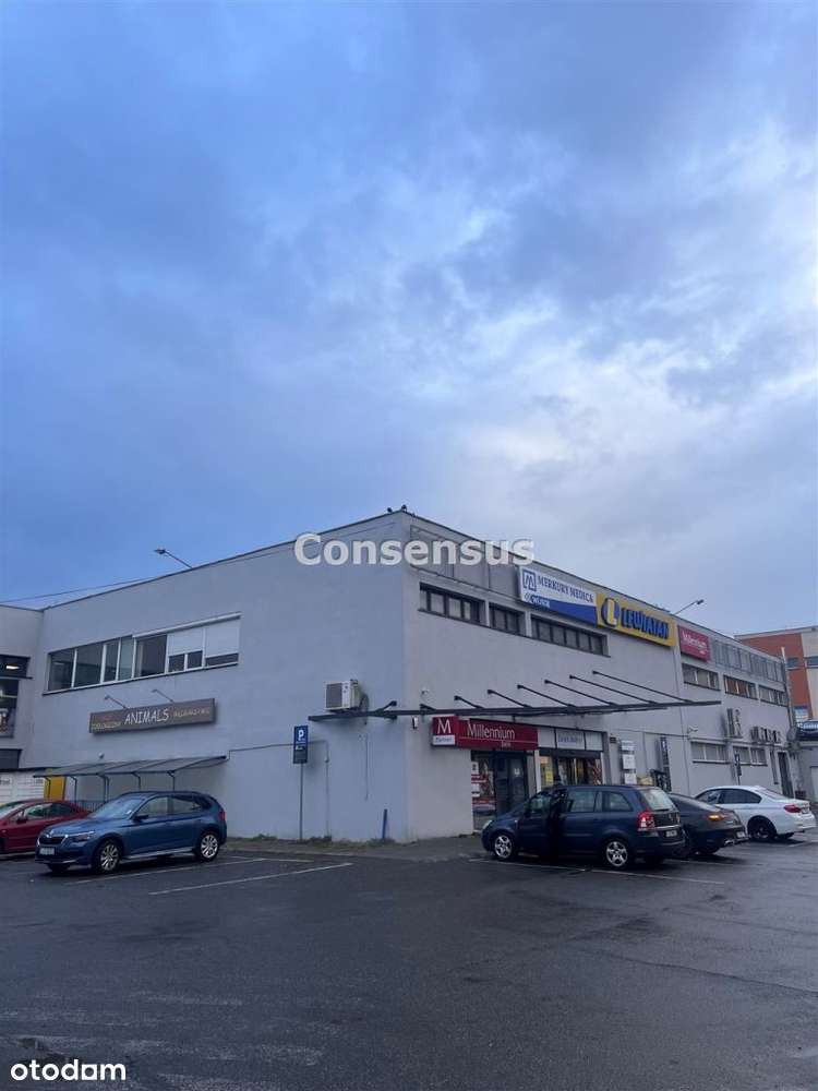 Galeria Handlowa Mazowiecka 8 - Pełny obrazek: 4/15