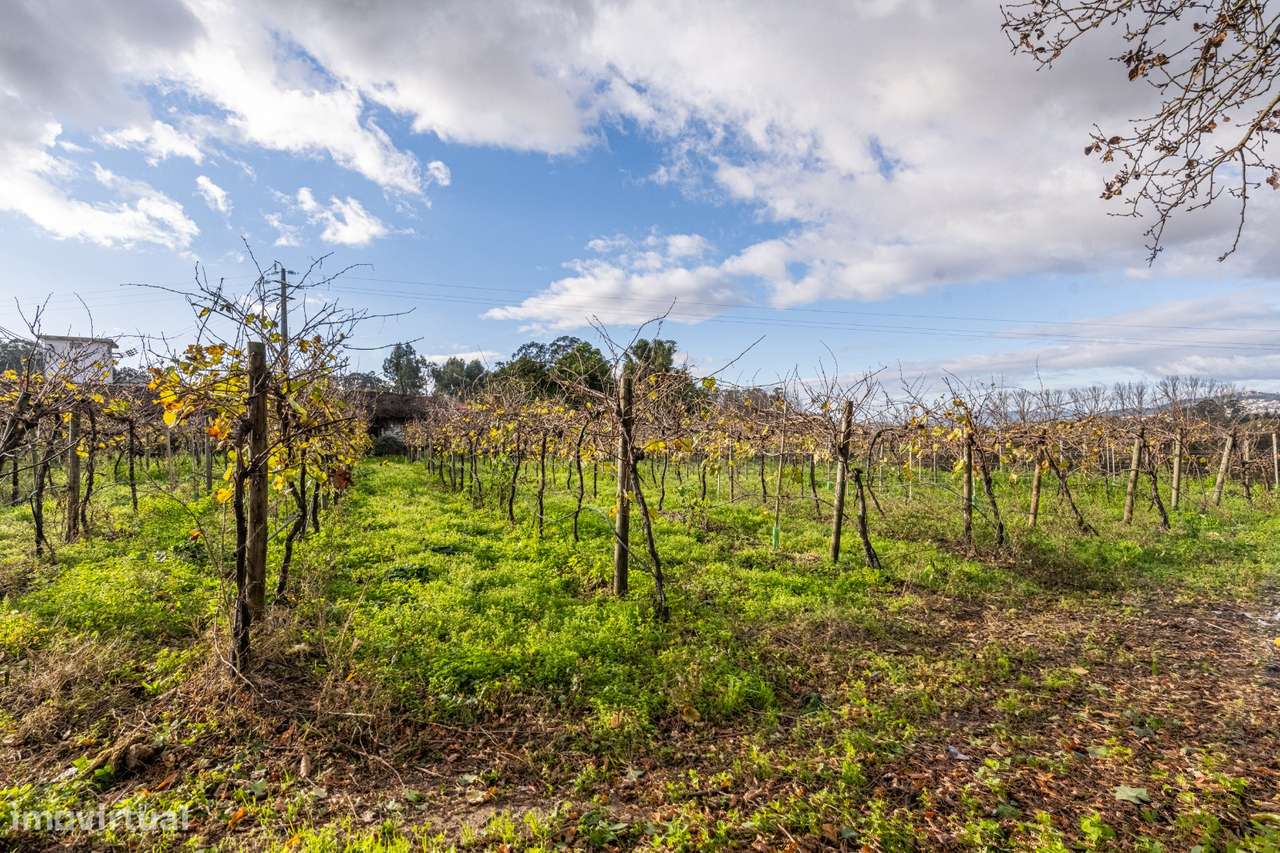 Moradia Senhorial - Felgueiras-33