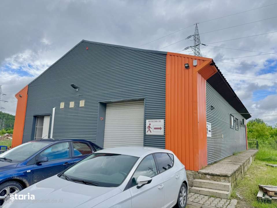 Inchiriere Spatiu industrial/HALA – 234 mp , Calea Chisinaului - Imagine principală: 1/2
