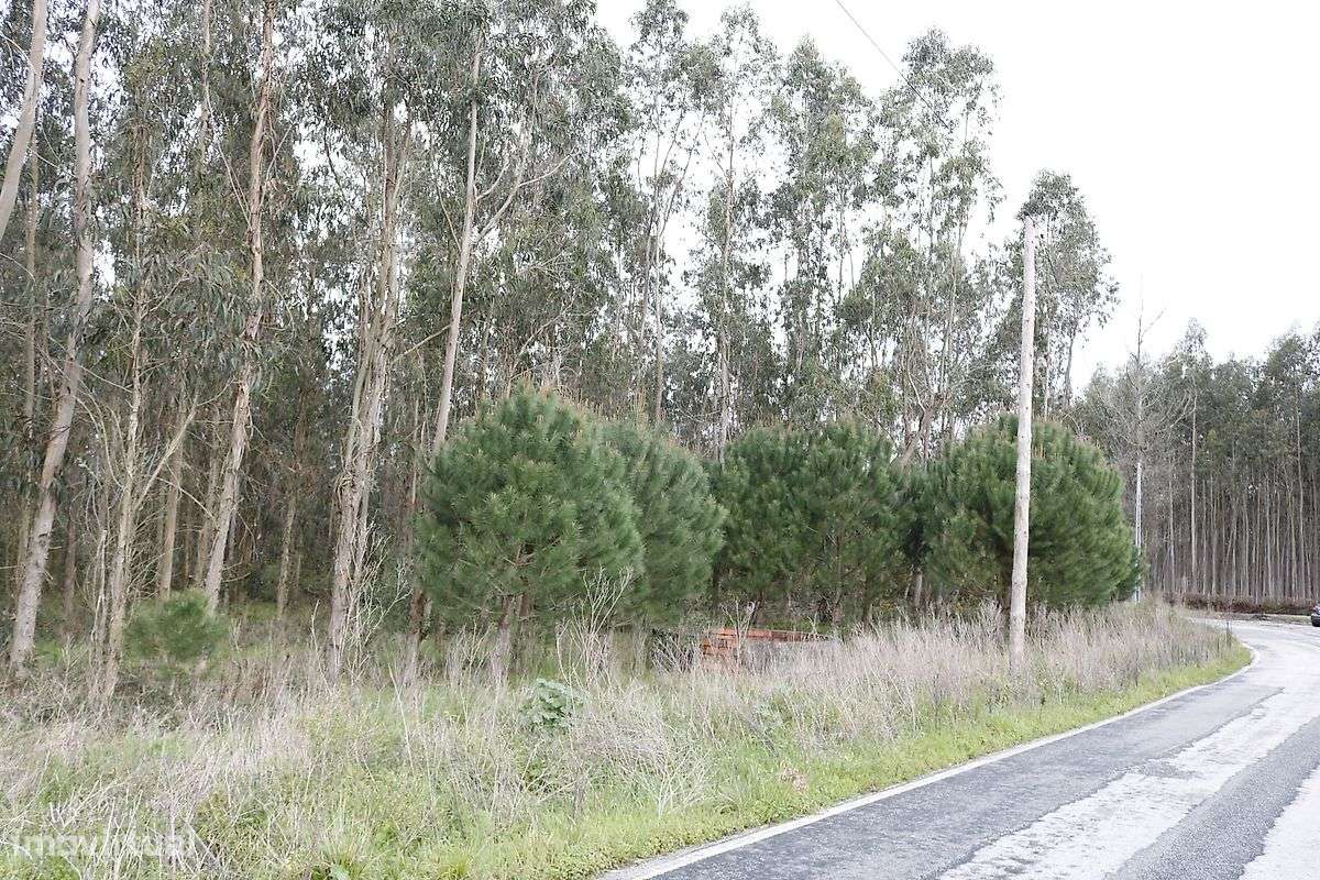 Terreno  para venda - Grande imagem: 3/4