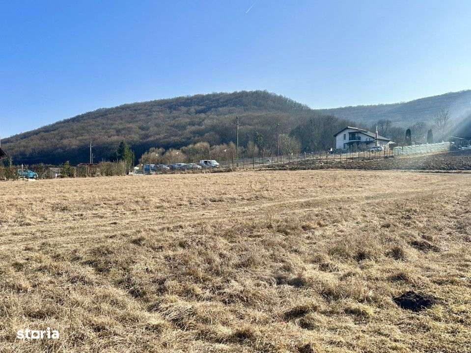 Vanzare teren intravilan, front 20 m, Capusu Mare, 1900 mp - Imagine principală: 4/4