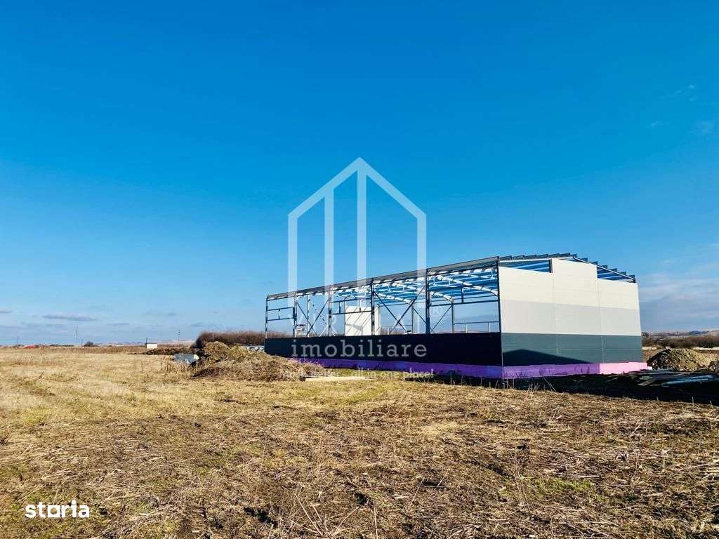 Hala de vanzare in zona industriala de Vest- Ocna Sibiului- utilitati - Imagine principală: 5/14