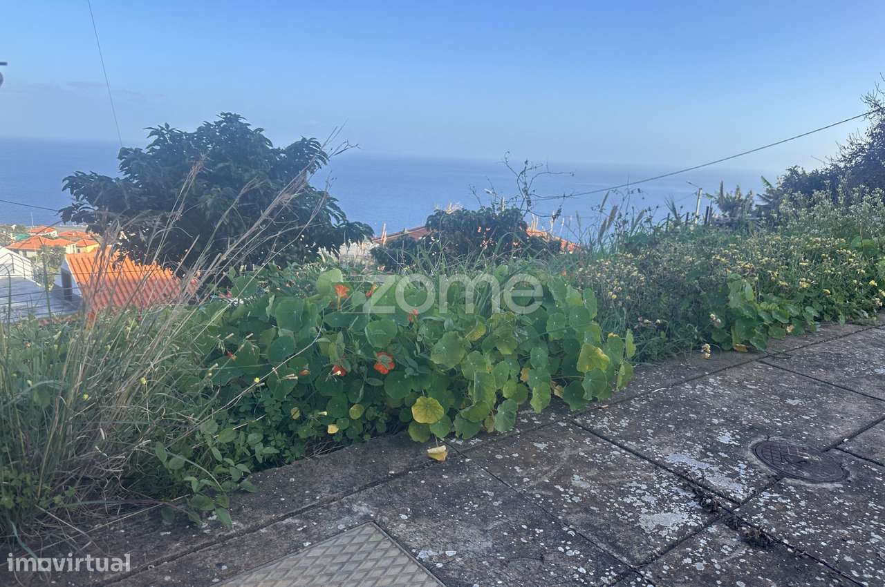 Terreno para construção em Santa Cruz-16