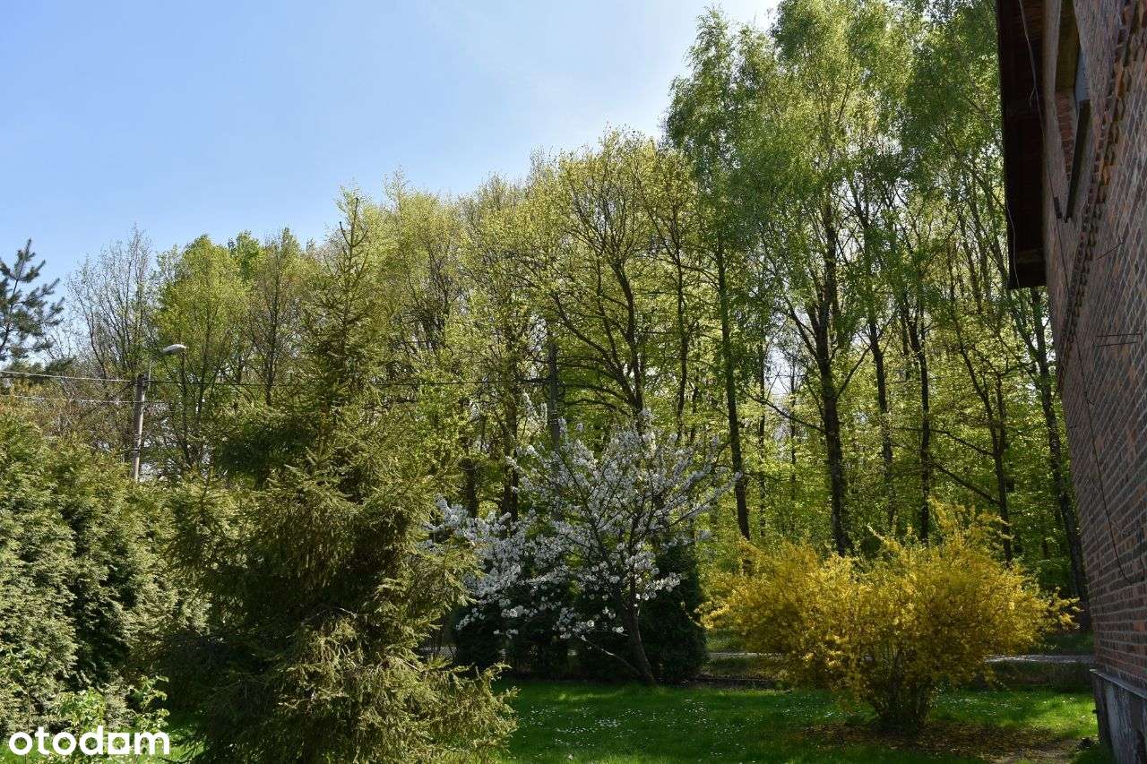 NOWA CENA Klimatyczny dom pod lasem – miejsce z duszą - Pełny obrazek: 5/20