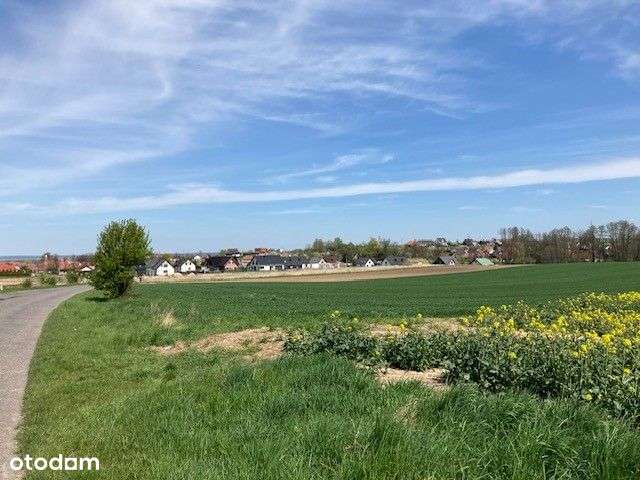 Działka budowlana pod Głogowem Kurowice Modła-11