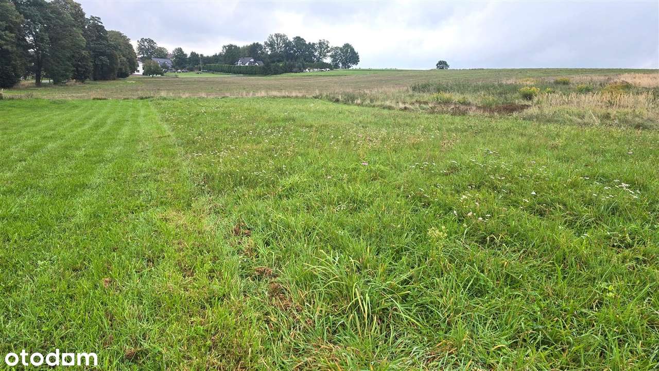 Super działka w Chwałęcicach - Pełny obrazek: 3/5