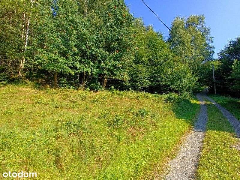 Os. Kozińce | duży, cz. budowlany | widokowy teren-9
