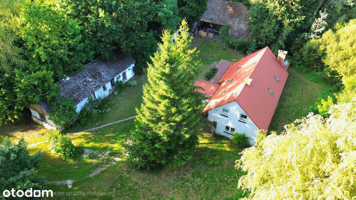 Siedlisko 30 min. od Warszawy,działka 33 000m2-13