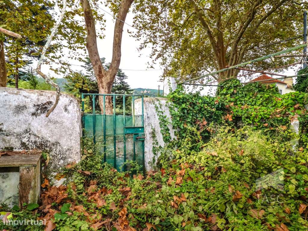 Moradia para reconstrução em Colares-19