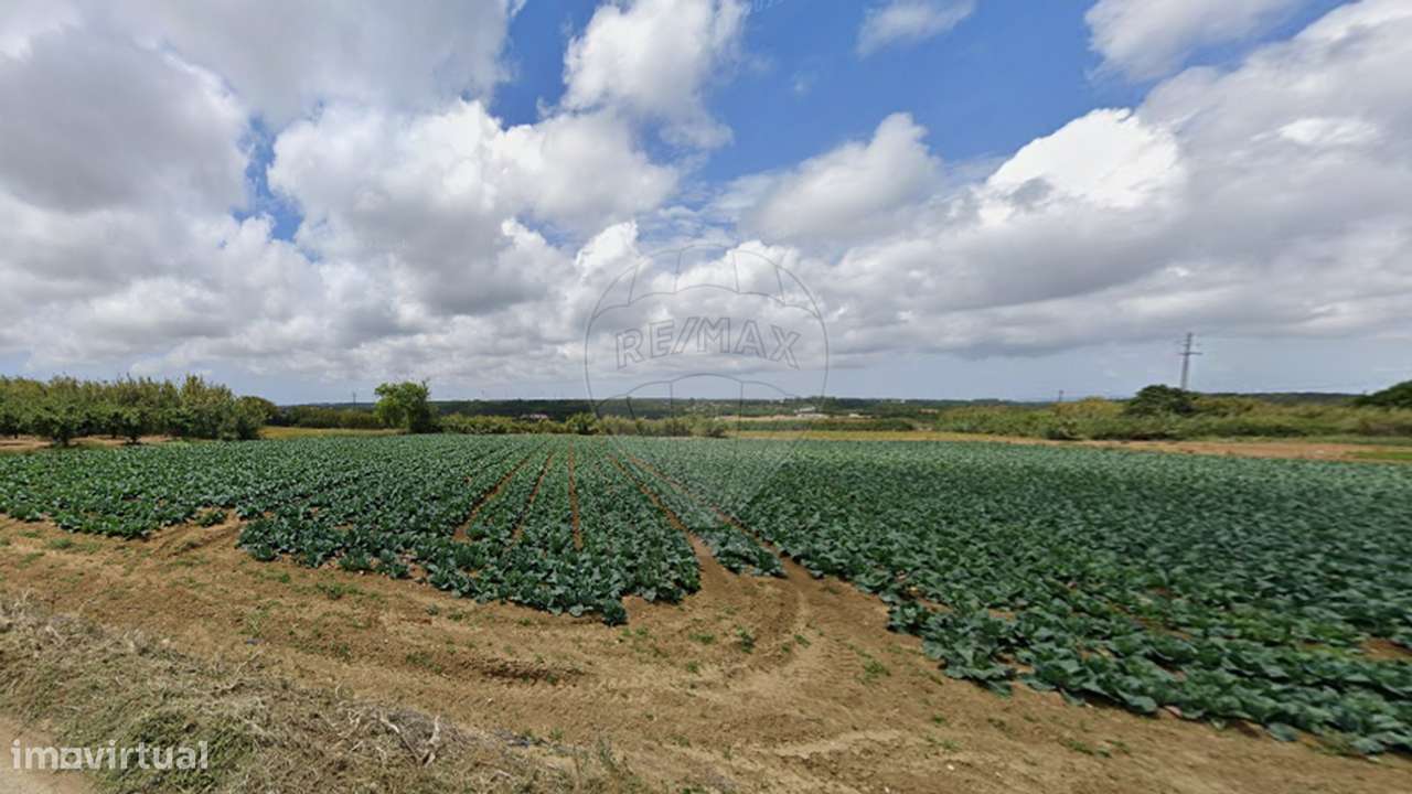 Terreno  para venda - Grande imagem: 5/6