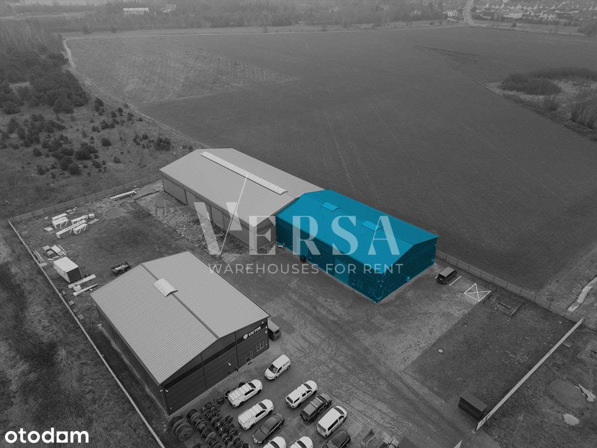 Hala na wynajem - Pełny obrazek: 3/6