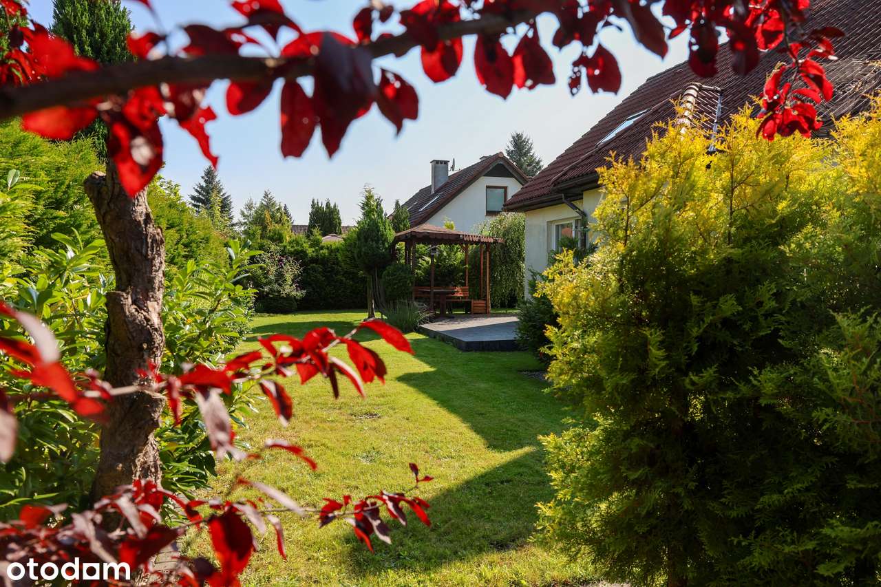 Dom wolnostojący z sauną /szybkie wydanie/  Suchy Dwór /gmina Kosakowo - Pełny obrazek: 5/16