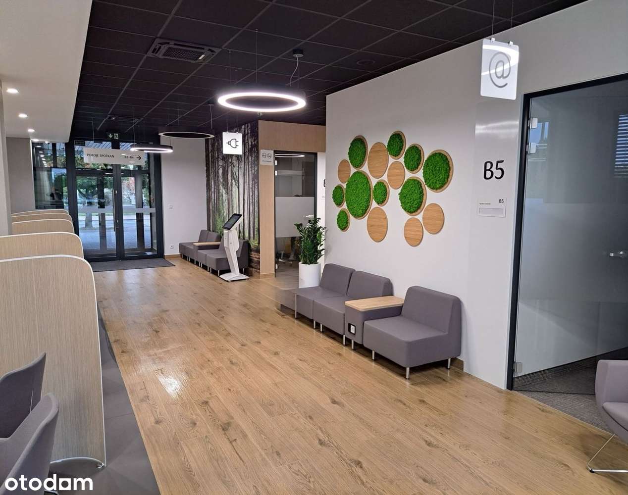 Lokal użytkowy, 1 134,75 m², Zduńska Wola - Pełny obrazek: 4/7