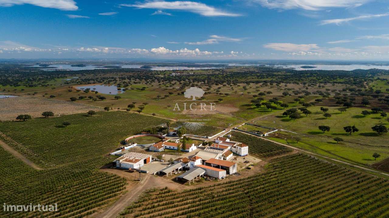 Herdade Alentejo-8