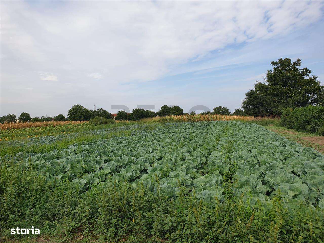 Teren intravilan in Bors cu front la 2 strazi si utilitati - Imagine principală: 4/4