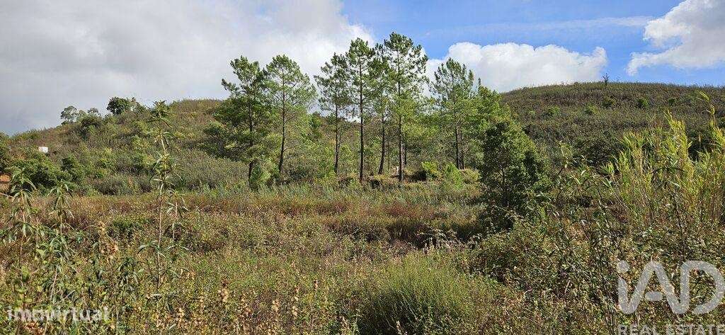 Terreno Agrícola em Mexilhoeira Grande - Grande imagem: 5/25