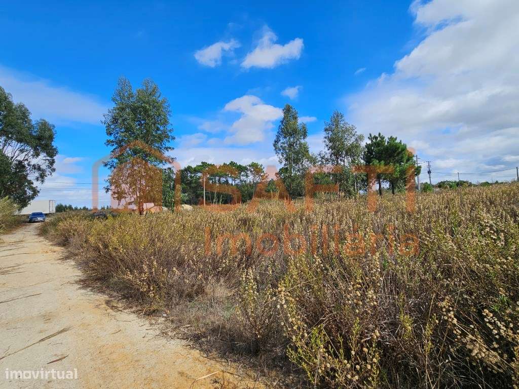 Venda - Terreno com potencial em, A Dos Cunhados - Grande imagem: 5/23