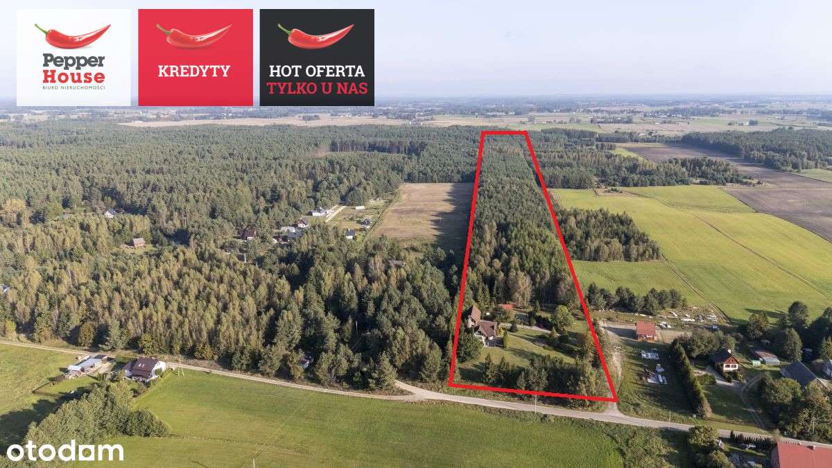 Piękna Działka Z Domem i Lasem W Sercu Kaszub! - Pełny obrazek: 5/20