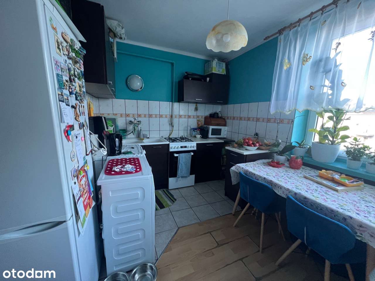 Przestronne 2-pokojowe mieszkanie z balkonem w Centrum - Pełny obrazek: 2/8