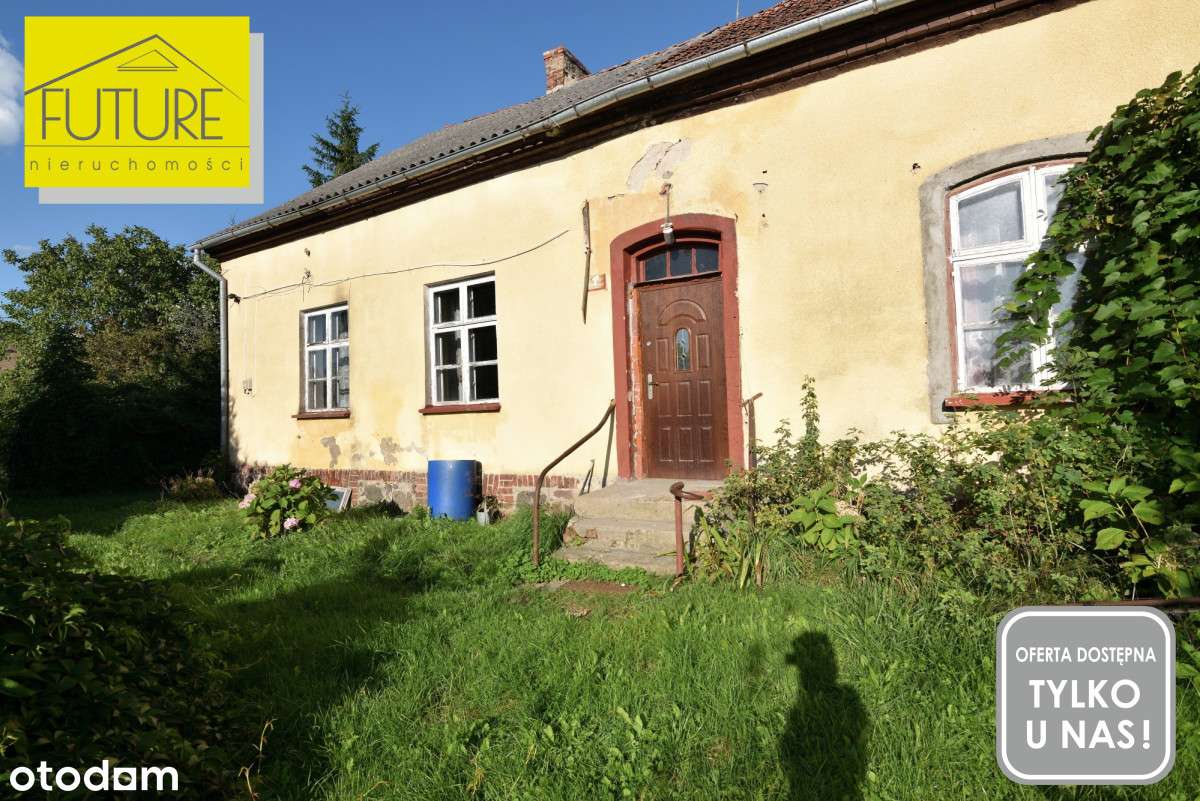 Pół domu w Drużnie - Pełny obrazek: 4/20