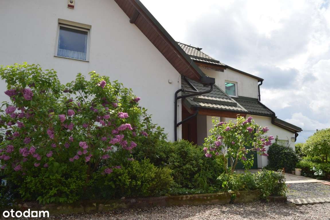 Dom na Kaszubach blisko jezior i lasów - Pełny obrazek: 5/13