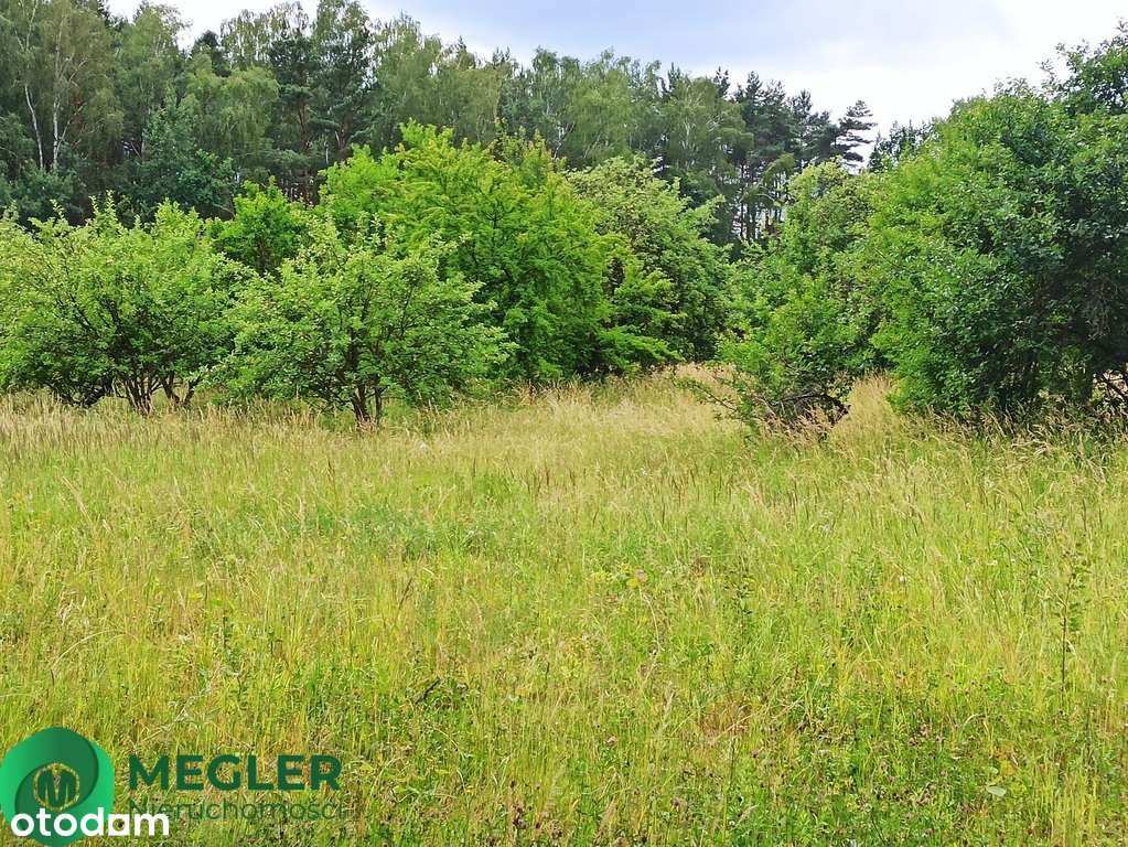 Działka niedaleko lasu-8