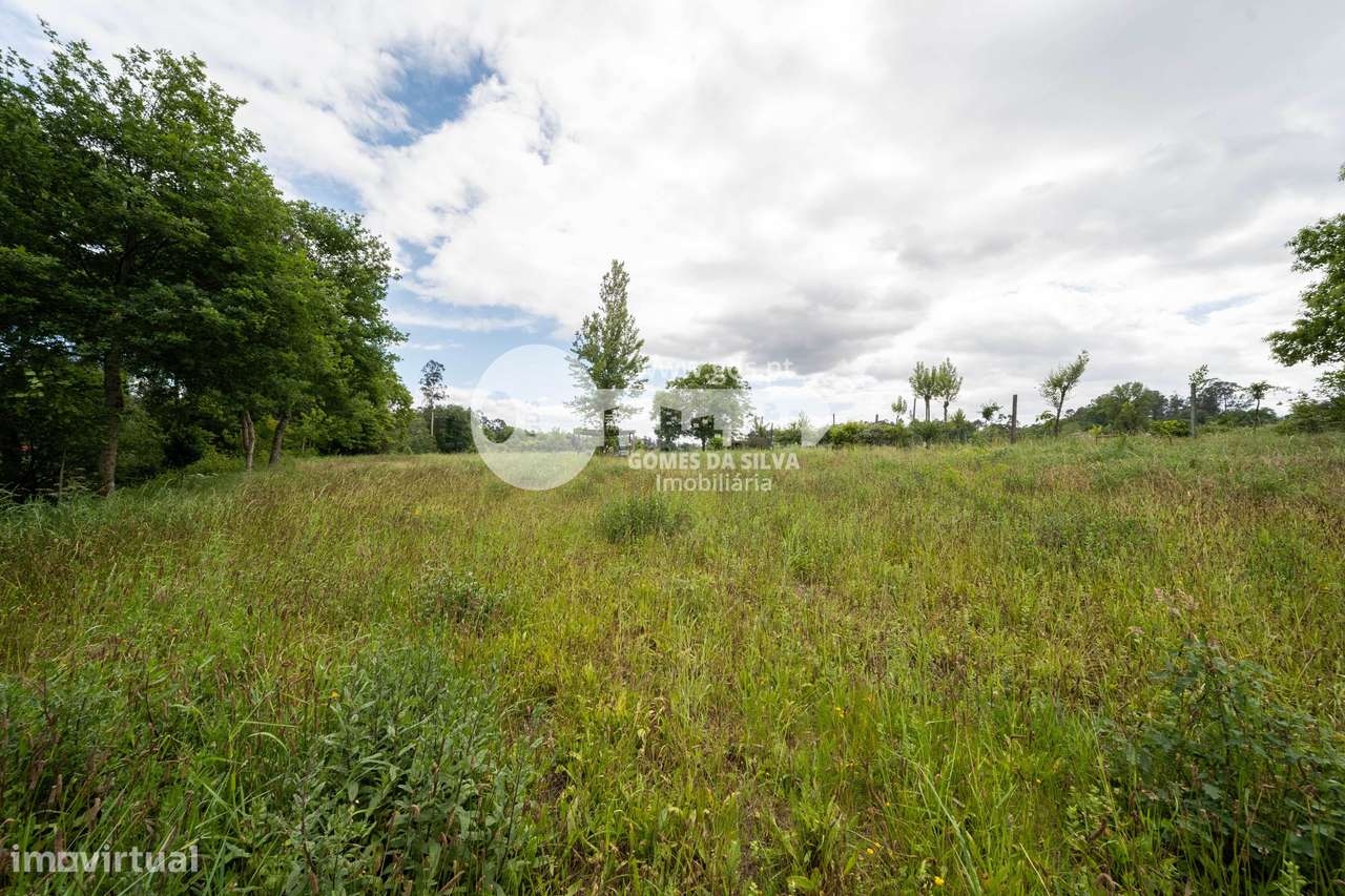 Terreno agrícola junto ao rio, Loureira, Vila Verde-11