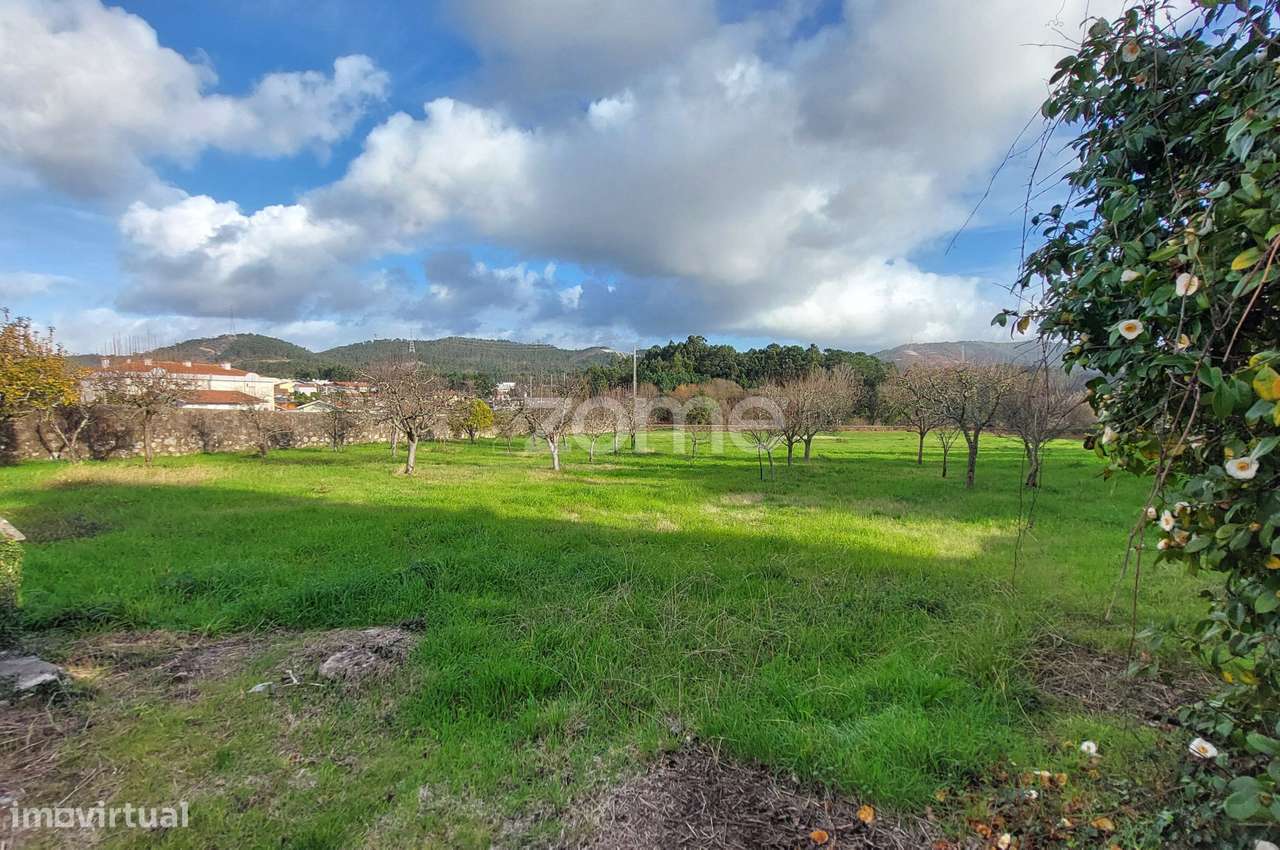 Quinta T4 com Terreno de 1.800 m² em Nogueira do Cravo-12
