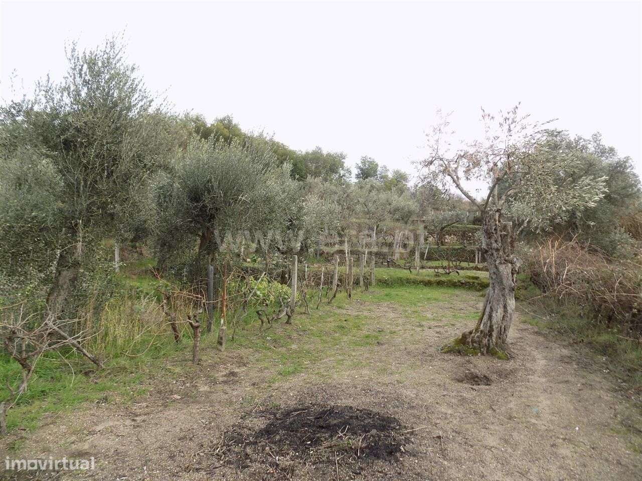 Quintinha T1 / Covilhã, Teixoso - Grande imagem: 4/6