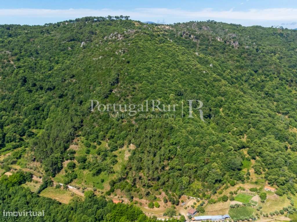 Exclusivo Complexo Agro-habitacional em Valoura, Vila Pouca de Aguiar-51