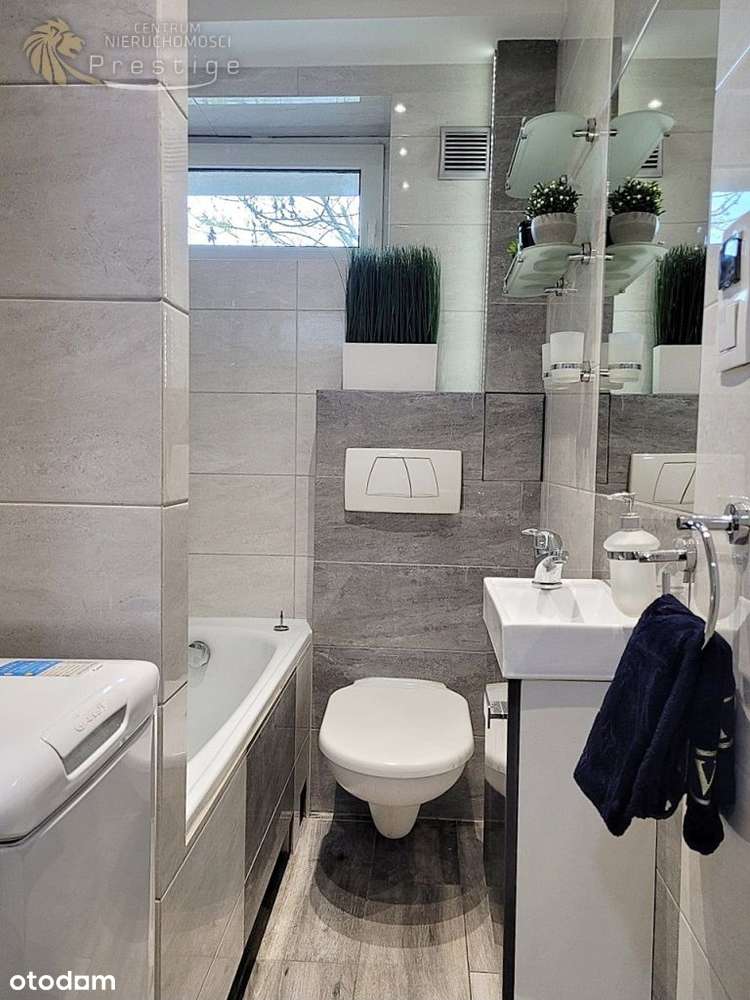 Bytom - 2 pok- do wynajęcia -umeblowane/wyposażone - Pełny obrazek: 4/8