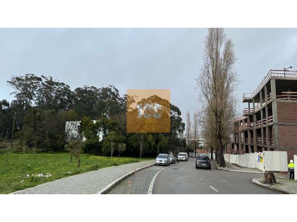 T1+1 novo em Canidelo, Gaia-13