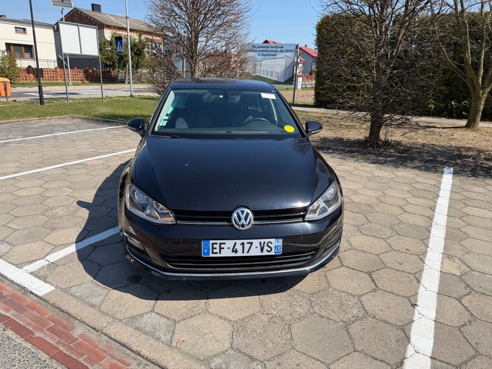 Volkswagen Golf VII 1.6 TDI BlueMotion Technology Allstar 2016