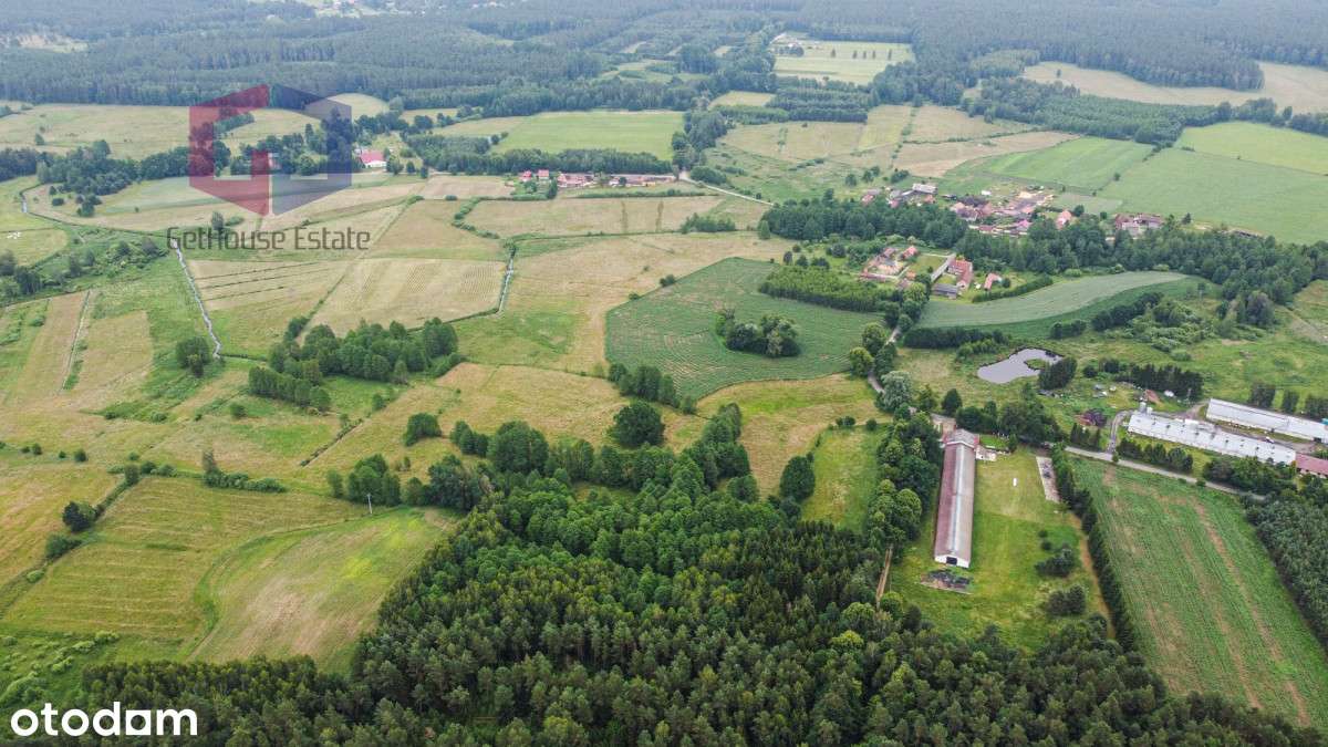 Tanie działki w spokojnej okolicy z linią rzeki - Pełny obrazek: 5/11