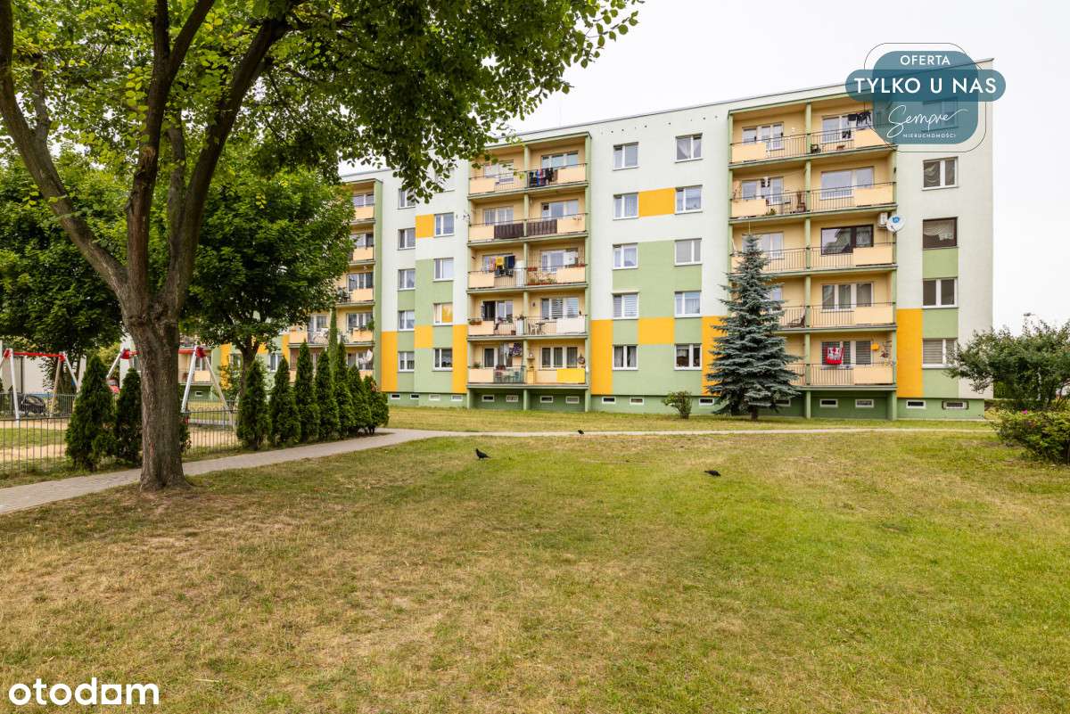 !! 3-pokojowe mieszkanie - Pełny obrazek: 4/10