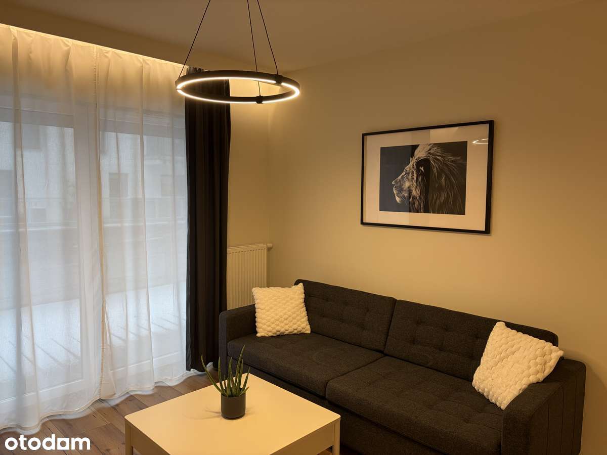 Komfortowe mieszkanie w centrum Poznania - Pełny obrazek: 3/12