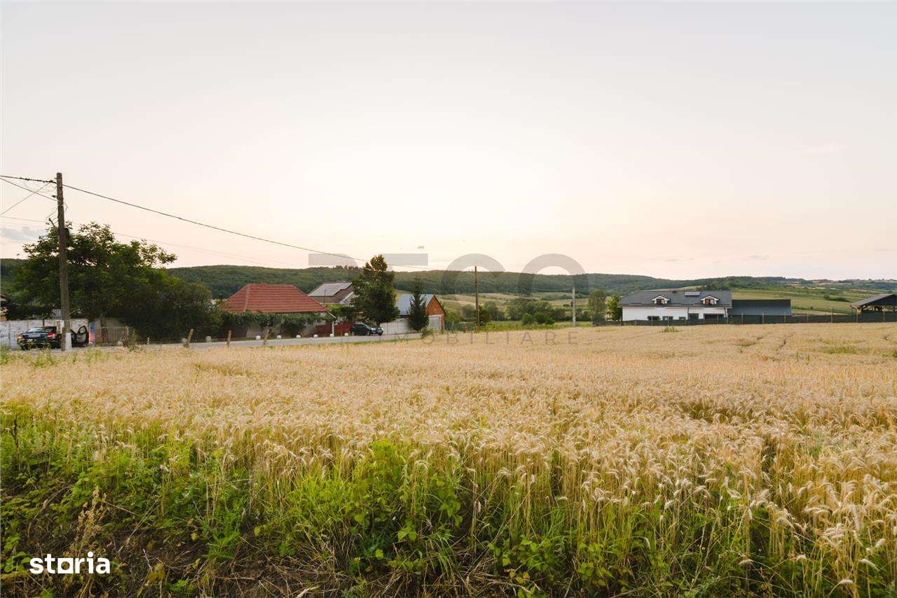 RECO Teren intravilan pentru casa  Lazareni - Imagine principală: 4/12