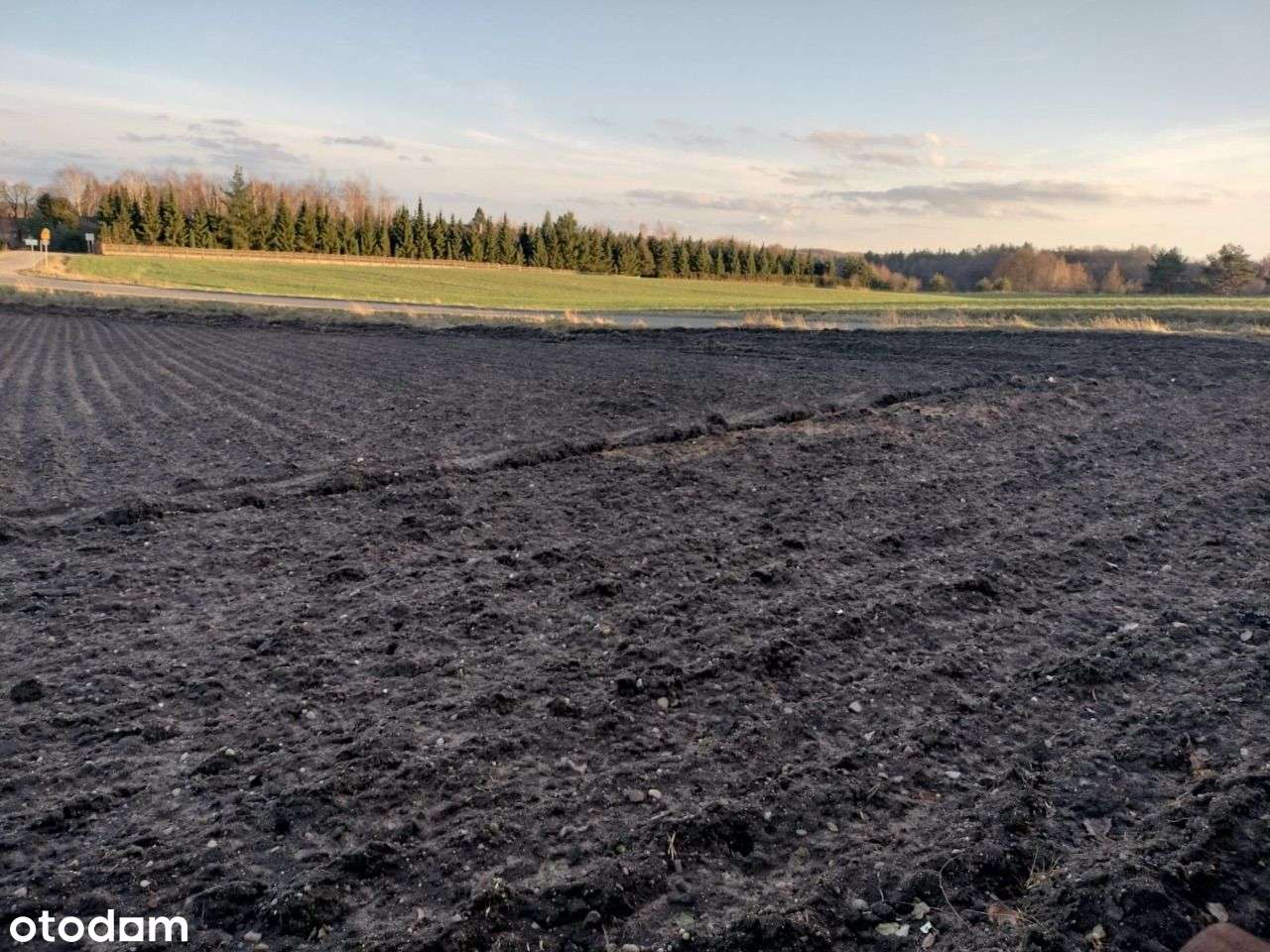 Działka na Pojezierzu Brodnickim - Pełny obrazek: 4/7