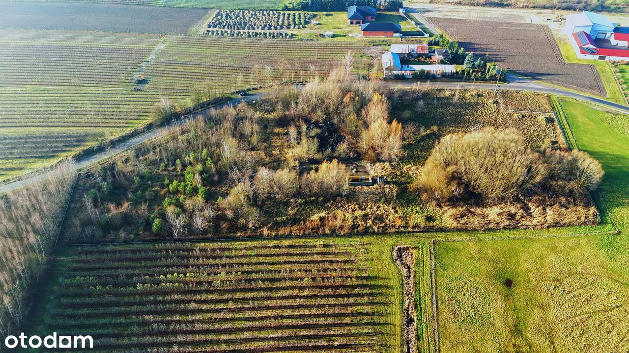 Gotowa pod inwestycję! Uzbrojona działka 1,9 ha pod produkcję,magazyny-6