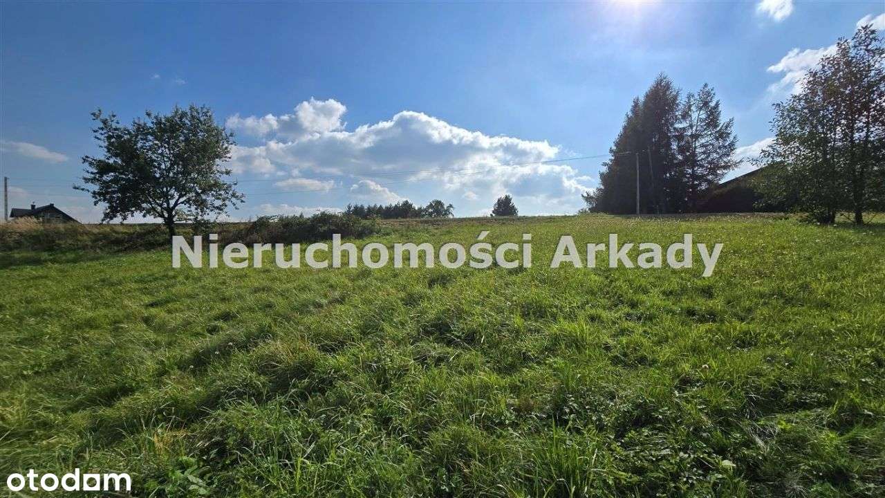 Piękna działka pod lasem-6