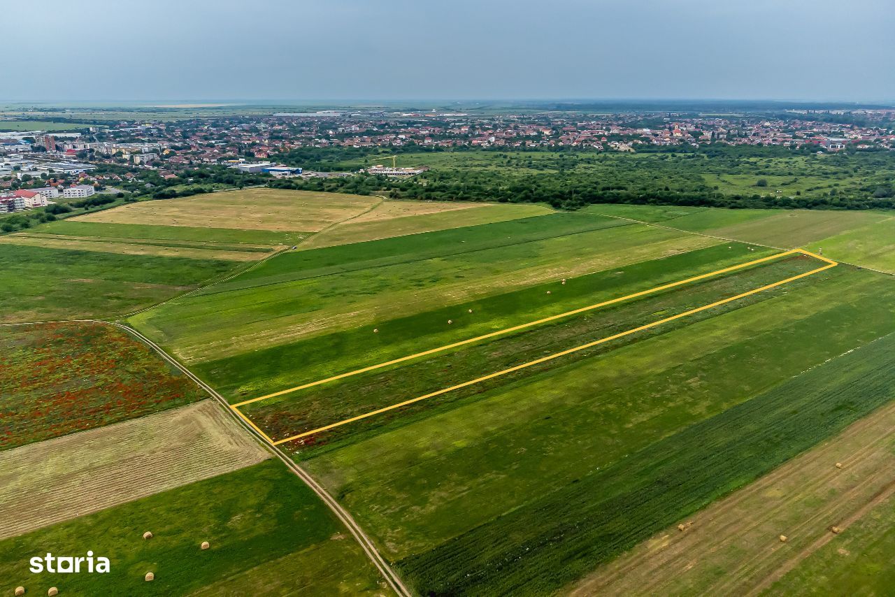 Teren intravilan 10.000mp Sannicolau Mic (Arad)