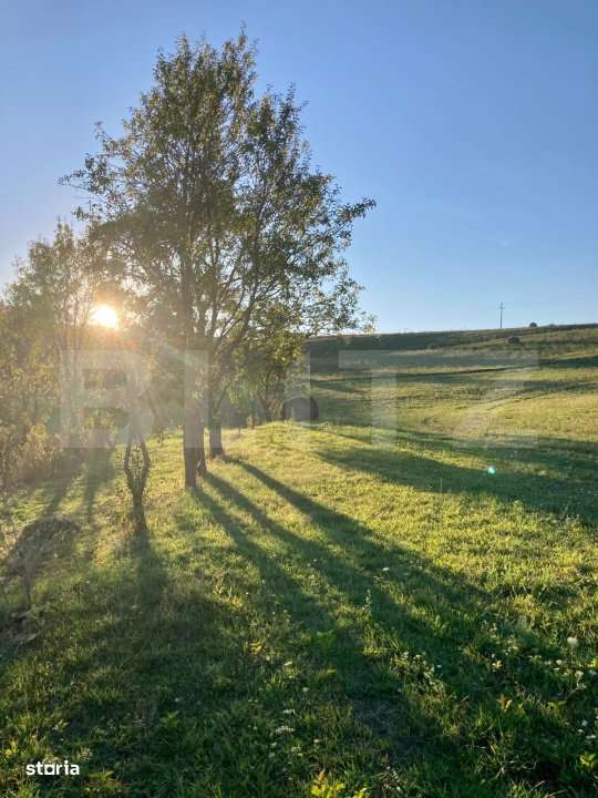 Casa  cu 10000mp de teren in Buza, la 50 km de Cluj-Napoca - Imagine principală: 3/12